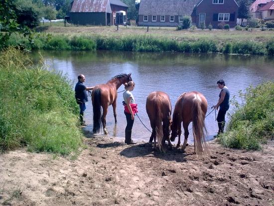 Zin in een onvergetelijk paardrij-avontuur?